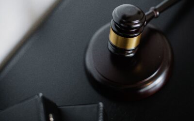 Litigation and Dispute Resolution: Protecting Your Interests and Your Business